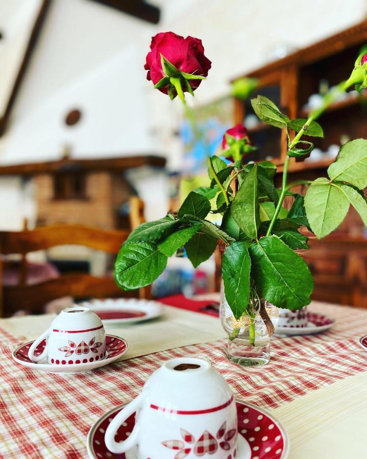 Bed and Breakfast Il Ritrovo Delle Volpi Agerola Exteriér fotografie